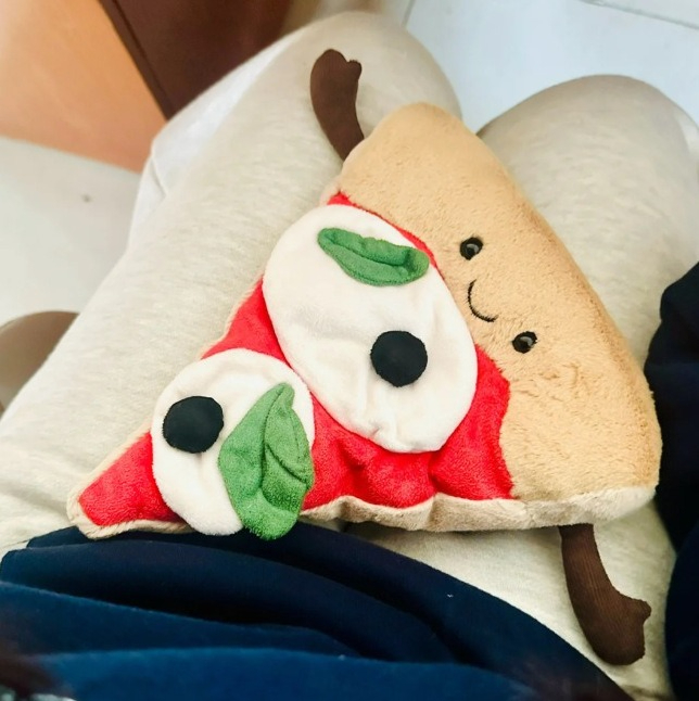 Hamburger pizza ornament gift  - Home Textiles Today ulasan dan harga